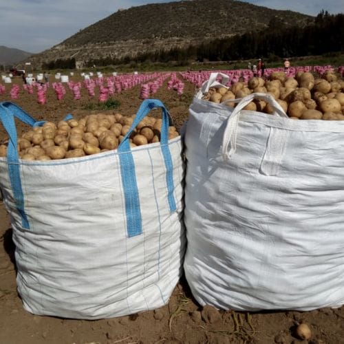 embalaje para agroindustria